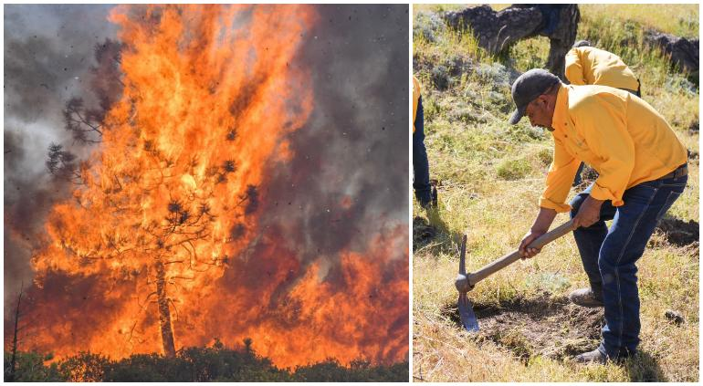 Abrasan incendios activos más de 25 mil hectáreas en el estado