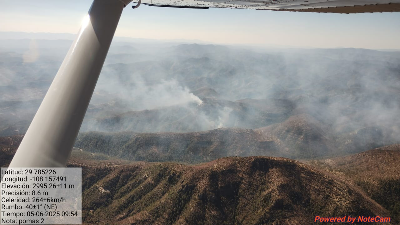 Reporta SDR 11 incendios forestales activos en el estado