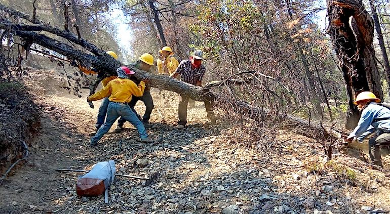 Activos 18 incendios en el estado; lo combaten 438