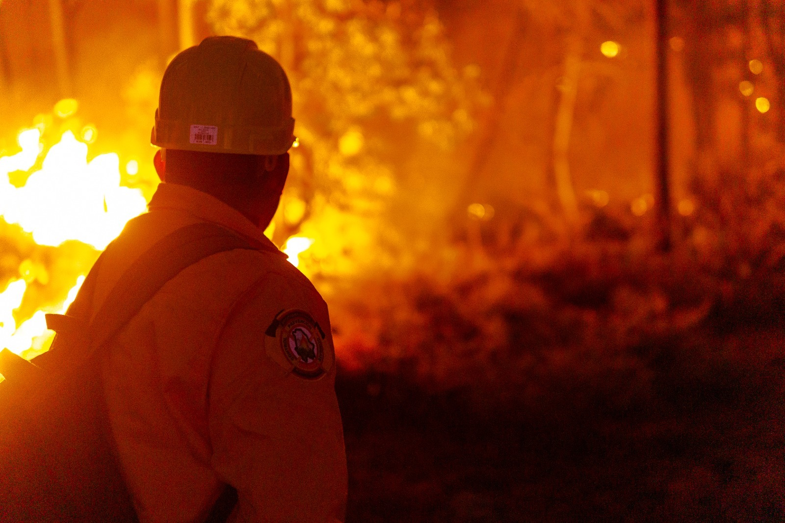 Avanza combate a incendios forestales en Chihuahua