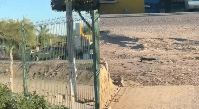 Abandonaron explosivo afuera del IMSS en Navolato