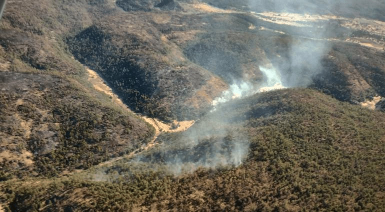 Los grandes al final: reducen incendios forestales del estado a seis