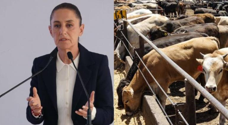 Medida unilateral, no contribuye: Sheinbaum