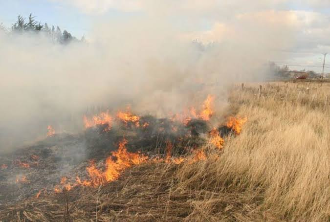 Incendios de pasto seco activan a Protección Civil durante el fin de semana en Camargo