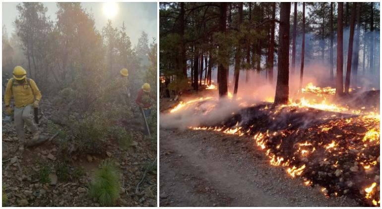 Ceden incendios forestales en el estado; la mayoría controlados