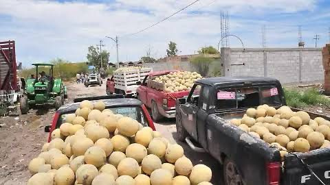Sector agrícola y Bancos de Alimentos unen esfuerzos para lograr más rescate de alimentos