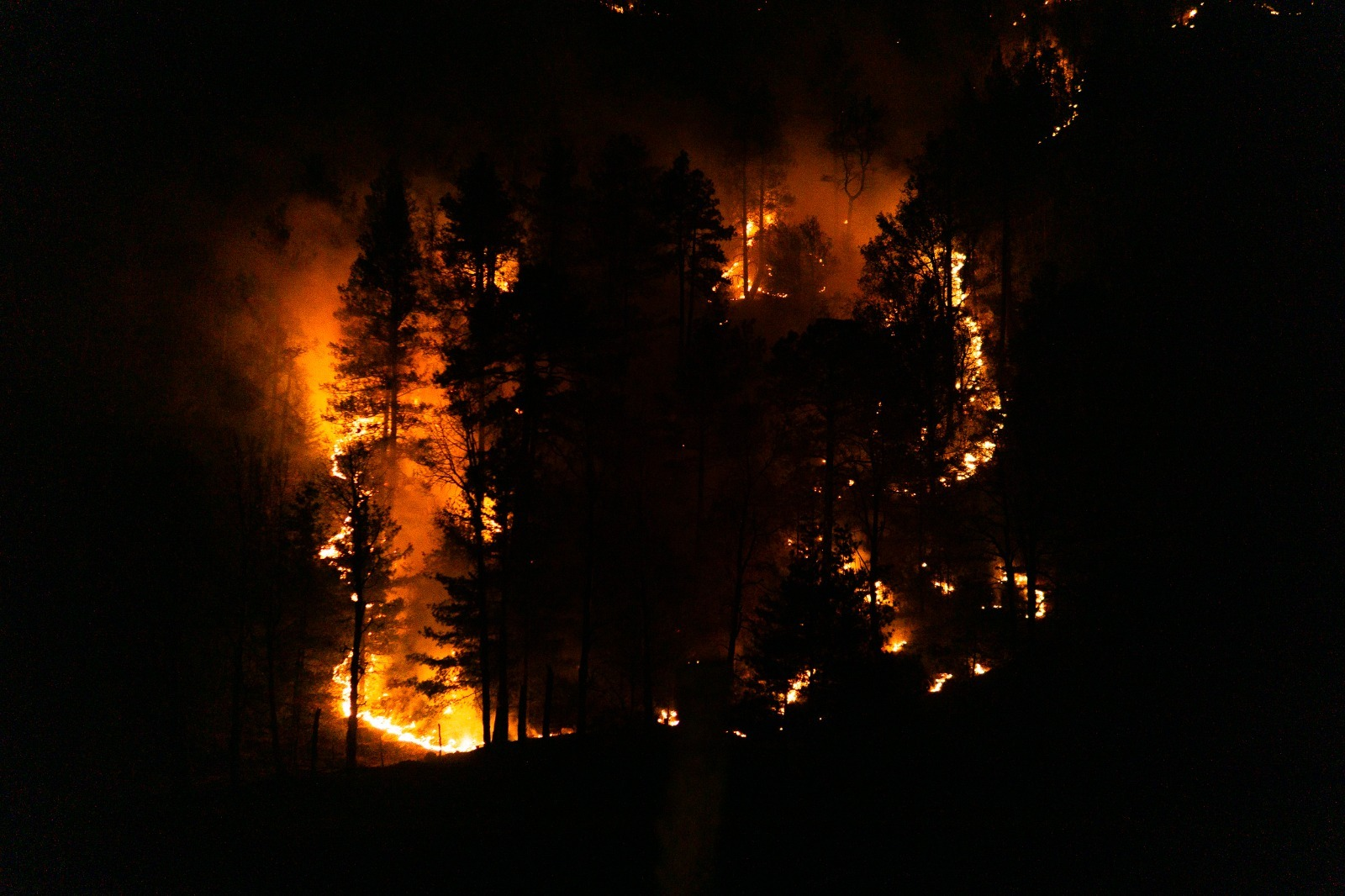 Reporta Secretaría de Desarrollo Rural 17 mil hectáreas con afectaciones por incendios forestales