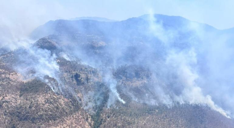 70 mil hectáreas en llamas; así los incendios forestales en el estado