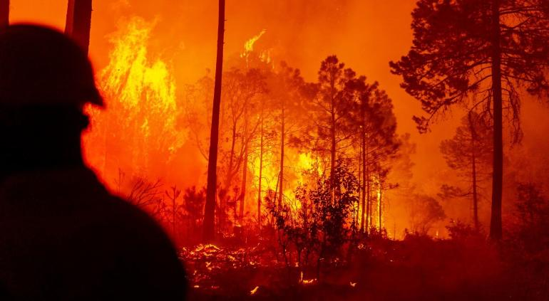 Crece a 10 mil ha incendio forestal en Tutuaca