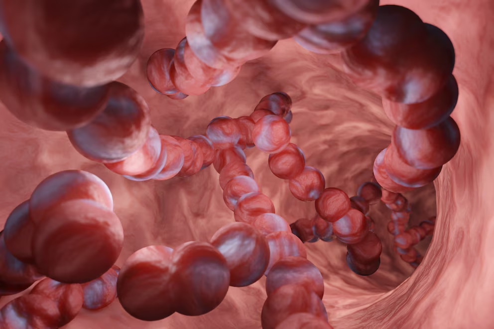 Una bacteria letal común se propaga en EEUU: expertos alertan sobre una pandemia silenciosa