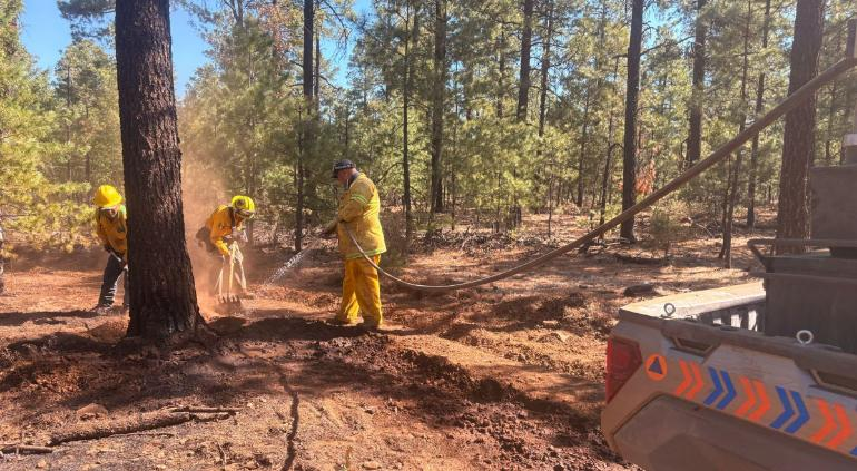 Reducen incendios forestales en el estado; 5 mil hectáreas menos