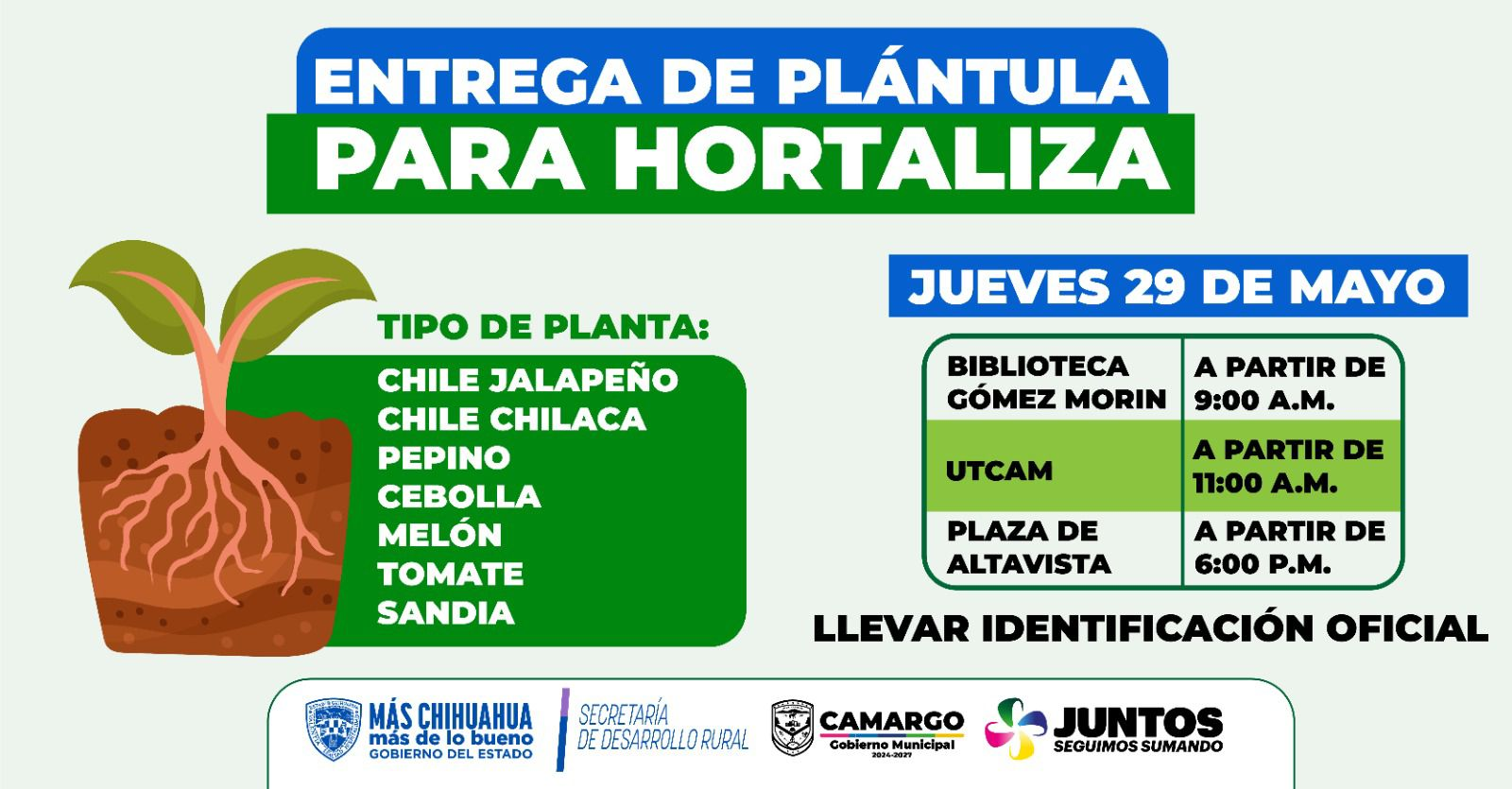 Municipio invita a entrega de plántulas para hortaliza en diferentes puntos de la ciudad