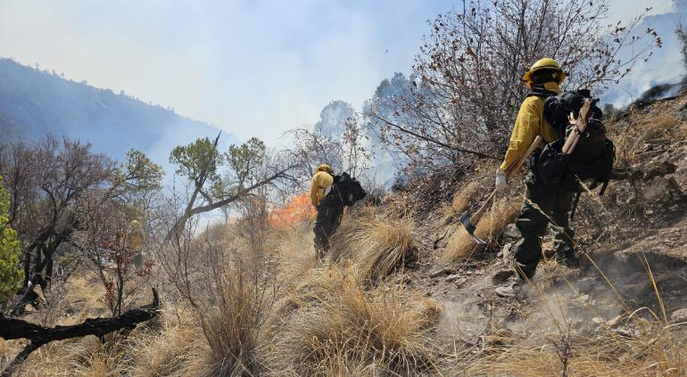 Liquidaron tres incendios forestales el último día, el resto crece