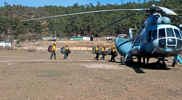 421 brigadistas combaten 17 incendios forestales en el estado: Conafor
