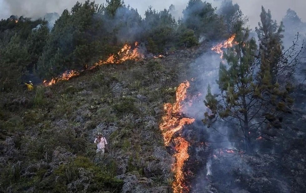Chihuahua primer lugar nacional de superficie afectada por incendios forestales