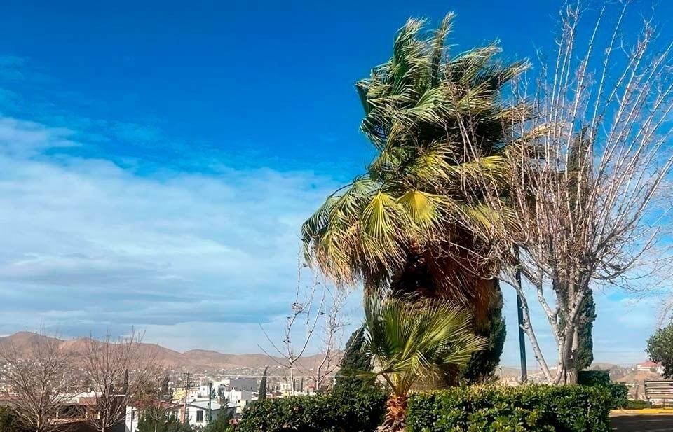 Prevén vientos fuertes y temperaturas elevadas en gran parte del estado