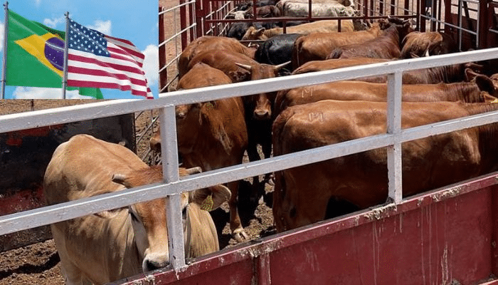 Elogian productores de EEUU arancel del 50% a carne de Brasil