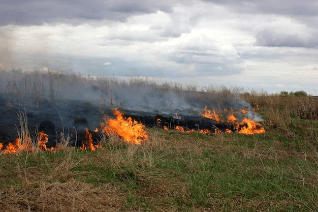 Fin de semana sin novedades fuertes, solo incendios de pasto y un par de atenciones menores: Protección Civil