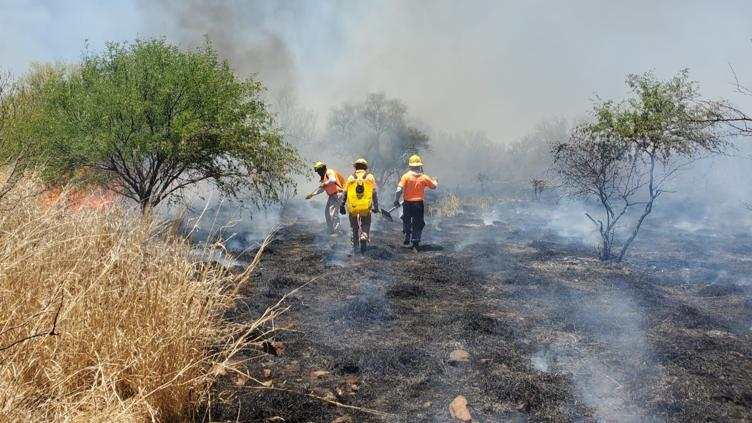 Incendio forestal afecta Área Natural Protegida de Bavispe