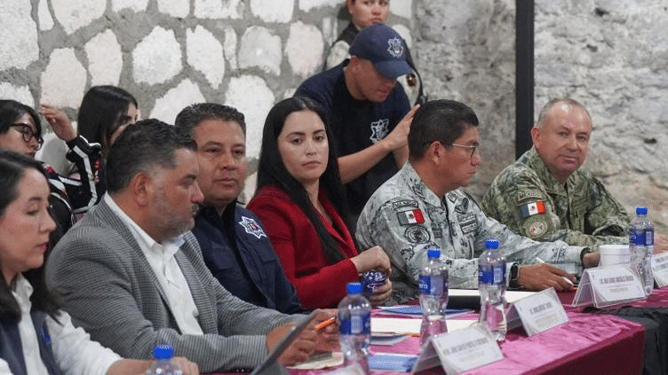 “Seguridad no puede esperar, Gpe y Calvo alza la voz”: González