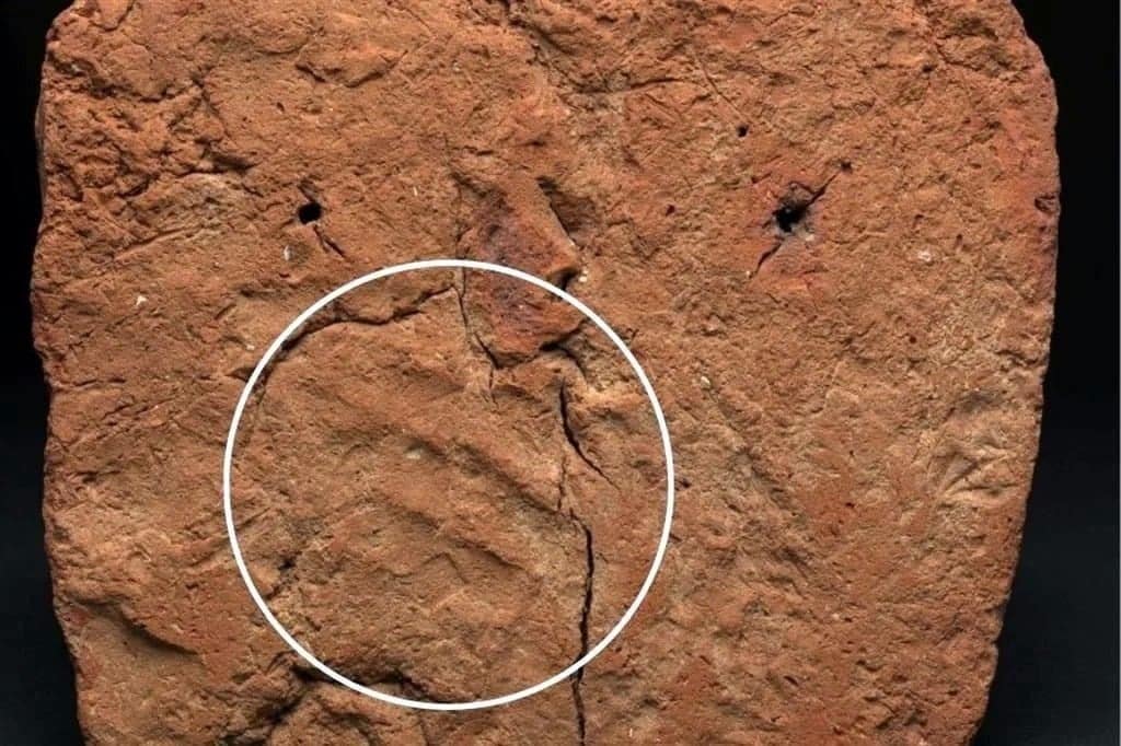 ‘Escondía’ escultura egipcia huella de 4 mil años