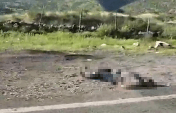 «Vamos por los que faltan»: dejaron mensaje en ejecutado