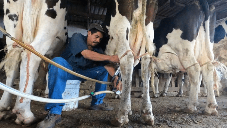 ¿Eres productor? Aprovecha créditos para enfrentar sequía