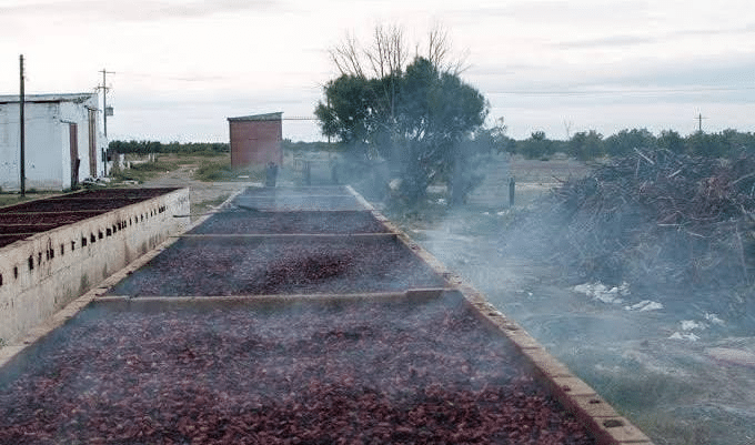 Atienden incendio en horno chipotlero de Maravillas; es el segundo reporte de la temporada