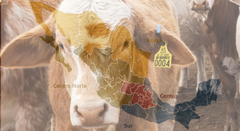 Aceptó EU regionalización de México en combate al gusano barrenador