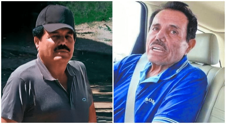 «El monte es mi casa», operaba El Mayo desde la Sierra