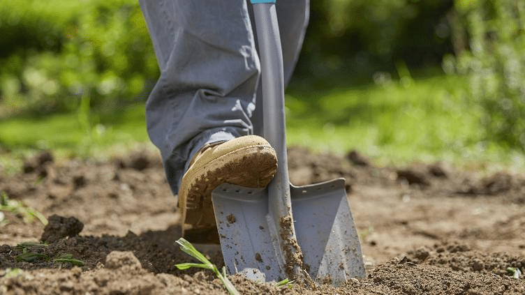 Sujeto golpeó con pala a vendedora ambulante en Saltillo