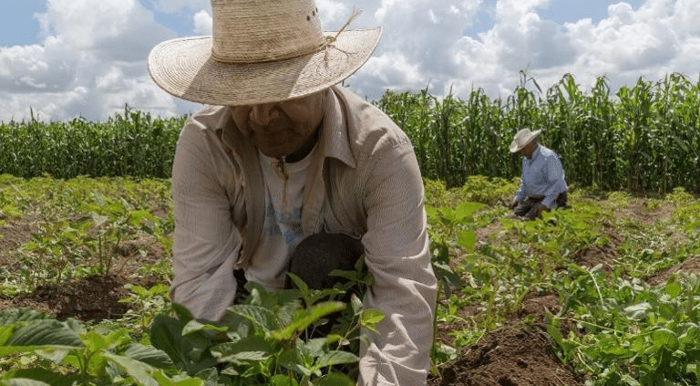 Recayó actividad económica en julio; peor retroceso en este año