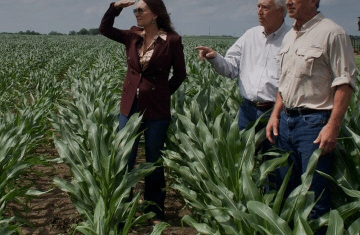 Reporta Brooke Rollins cero casos de ‘barrenador’ en los Estados Unidos