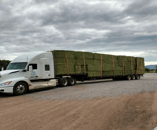 Suma Gobierno del Estado más de 14 mdp en el otorgamiento de créditos emergentes agropecuarios