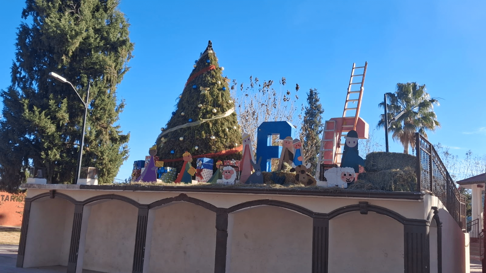 Invitan al encendido del Árbol Navideño en San Francisco de Conchos este domingo