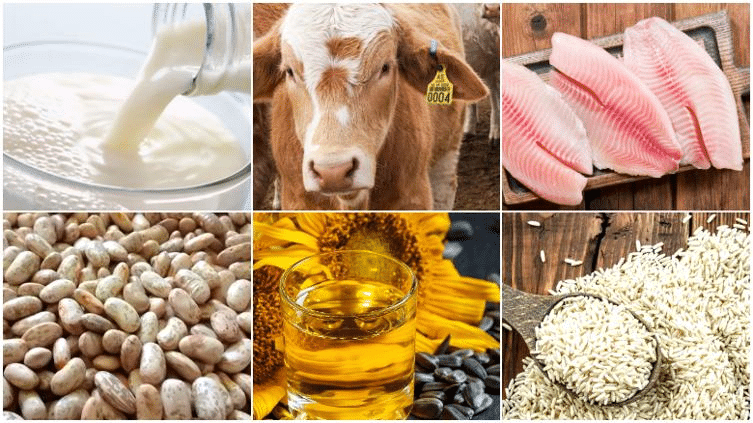 Decreta Clau arancelazo a estos productos de canasta básica