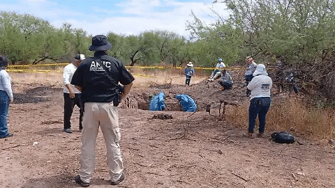 Suben desapariciones y bajan los hallazgos