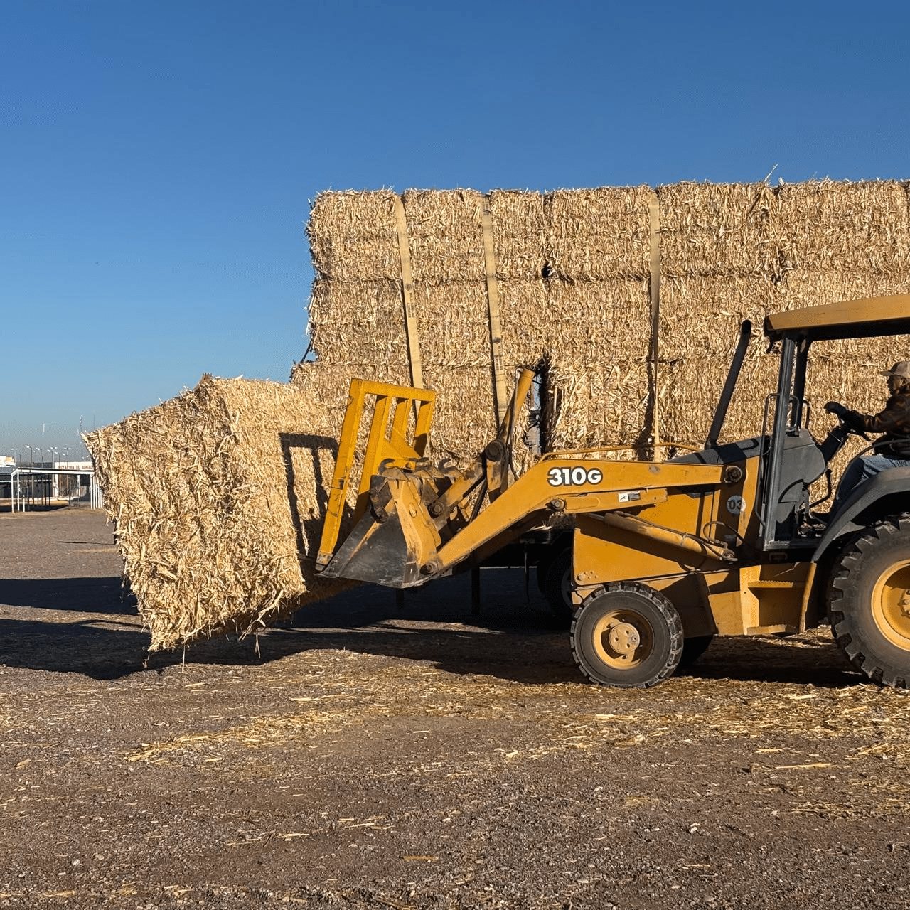Realiza Gobierno Municipal segunda entrega de pacas de rastrojo a ganaderos