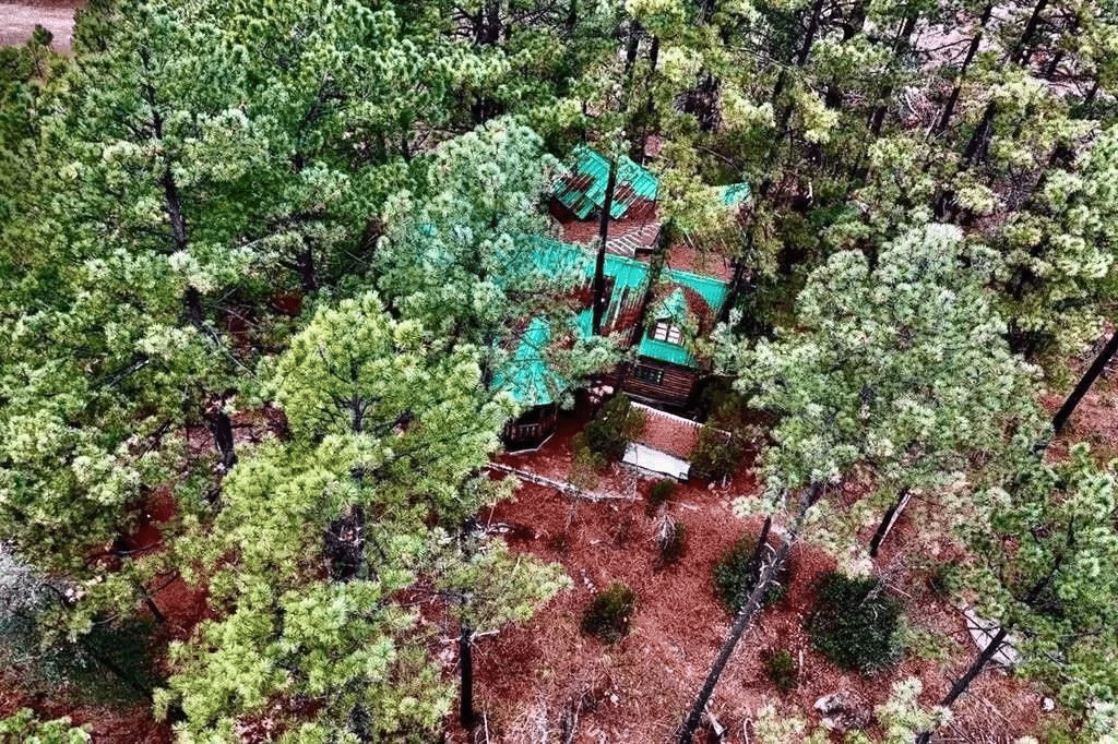 Asegura Fiscalía Anticorrupción cabaña de Corral