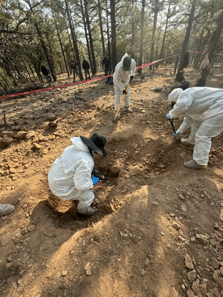 Localizan siete cuerpos en fosa clandestina en Jáltipan, Veracruz