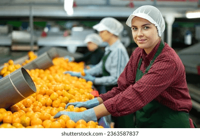 México busca incrementar la exportación de frutas y hortalizas a Canadá, afirma Sader