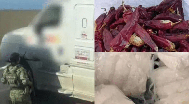 Escondieron 285 kilos de «meta» en costales de chile guajillo