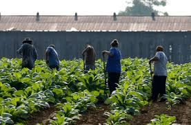 Con solo el 30% de agua autorizado, Jorge Aldana urge a rehabilitar canales para salvar el ciclo agrícola