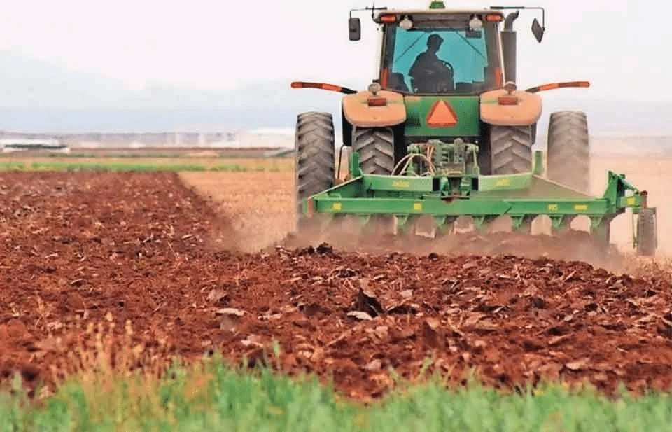Proyectan sembrar el 90% de tierras
