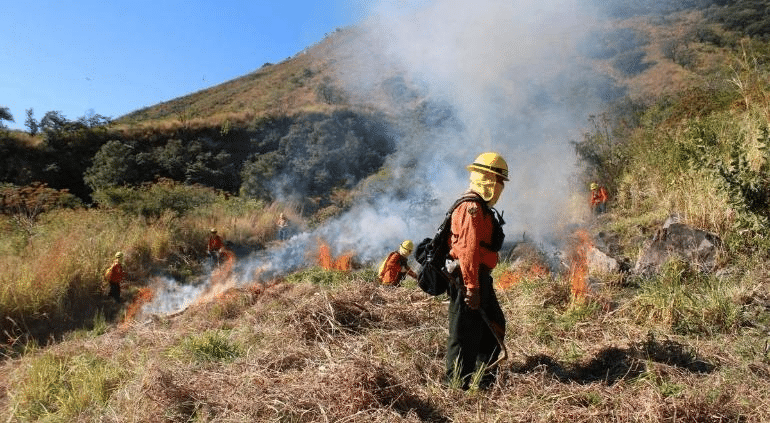 Controlan incendio forestal en Basaseachi; surgen otros dos