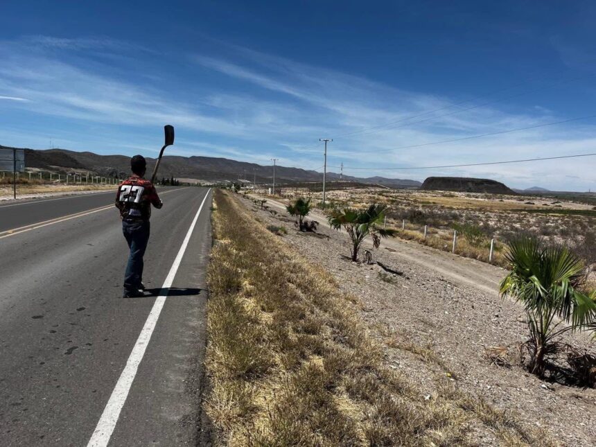 Realiza San Francisco de Conchos reforestación con 60 palmeras en acceso a La Boquilla