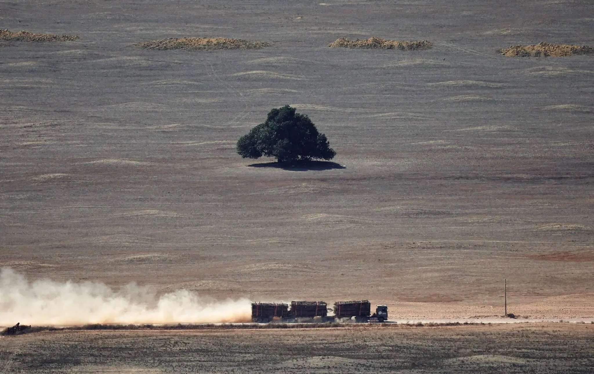 Si la deforestación sigue, la Amazonía estaría en un punto sin retorno