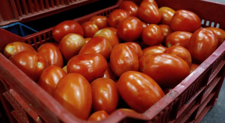 Inflación en Chihuahua: Tomate disparó su precio ¡131%!