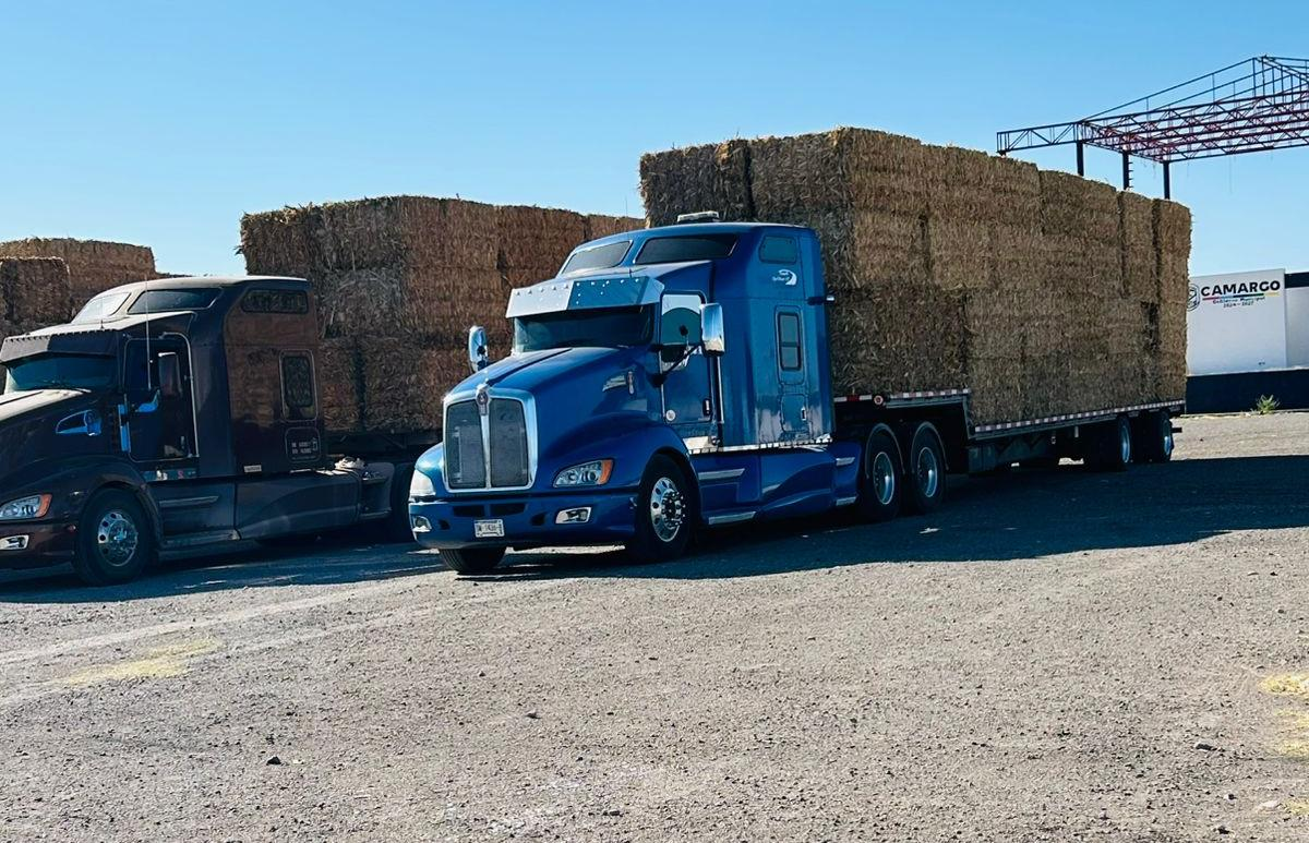 Entregan 200 pacas a ganaderos de Camargo; suman ya mil 200 apoyos al sector