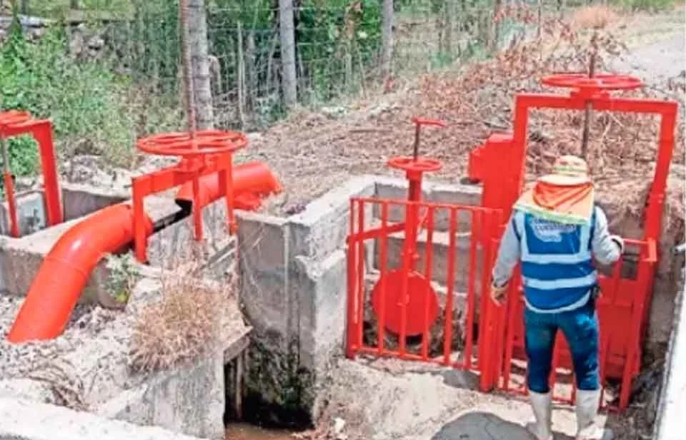 Pueden perder subsidio dos mil 500 productores